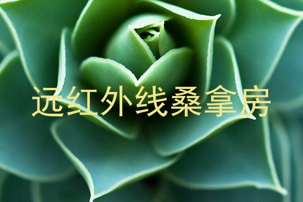 远红外线桑拿房