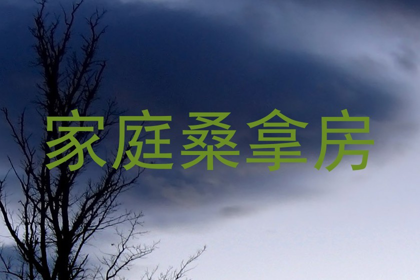 家庭桑拿房