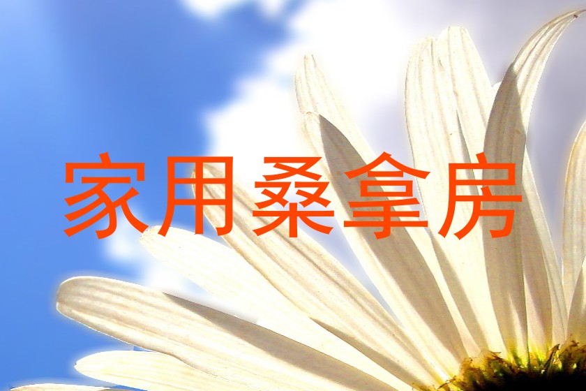 家用桑拿房