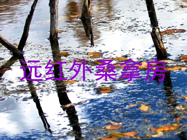 远红外桑拿房