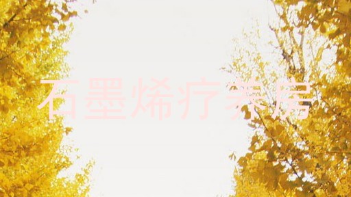 石墨烯疗养房