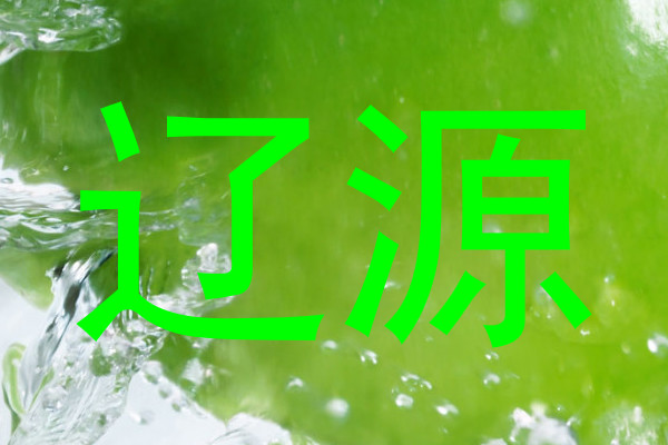 辽源