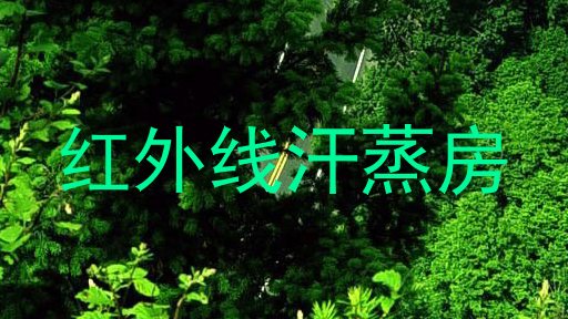 红外线汗蒸房