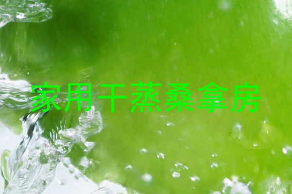 家用干蒸桑拿房