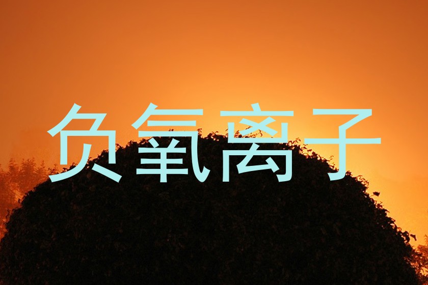 负氧离子