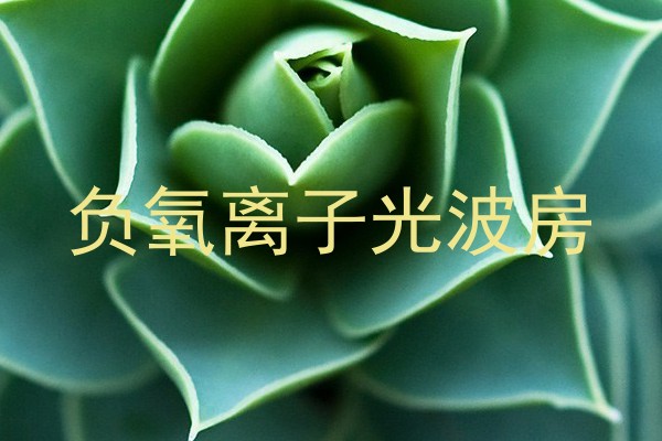 负氧离子光波房