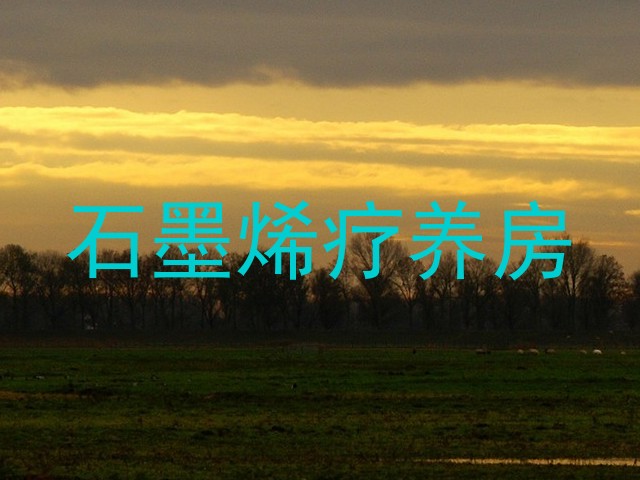 石墨烯疗养房