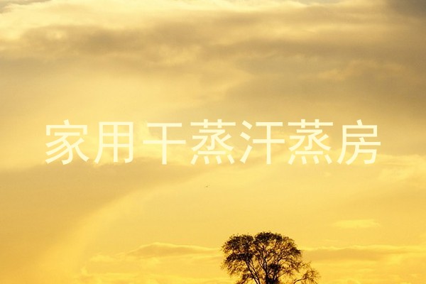 家用干蒸汗蒸房