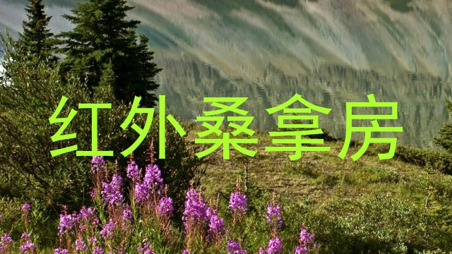 红外桑拿房