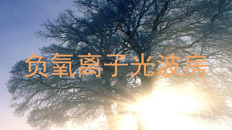 负氧离子光波房