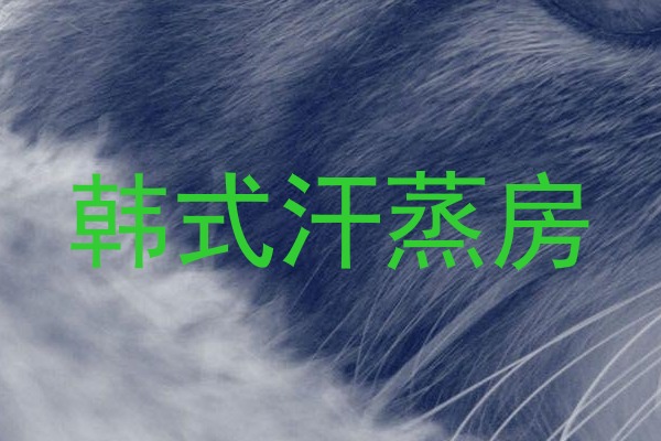 韩式汗蒸房