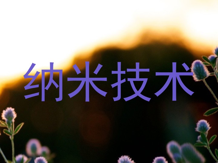 纳米技术
