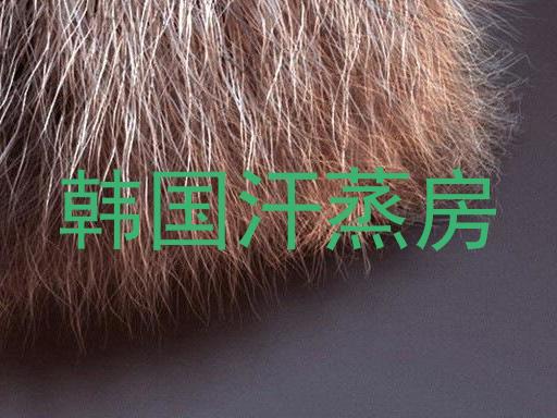 韩国汗蒸房