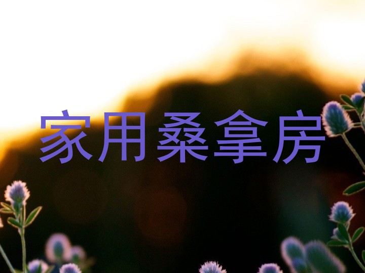家用桑拿房