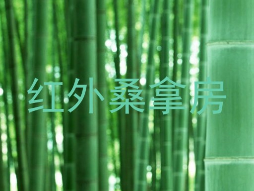 红外桑拿房
