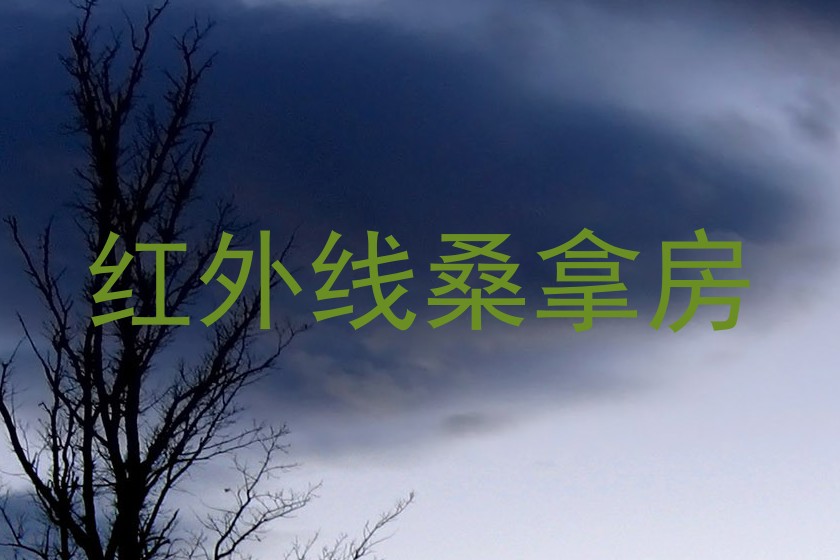 红外线桑拿房