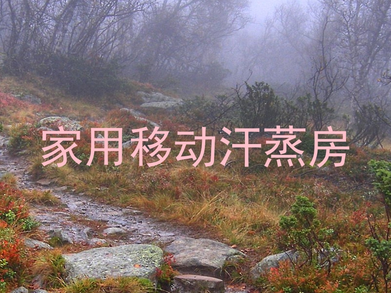 家用移动汗蒸房