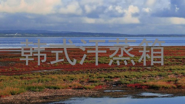 韩式汗蒸箱