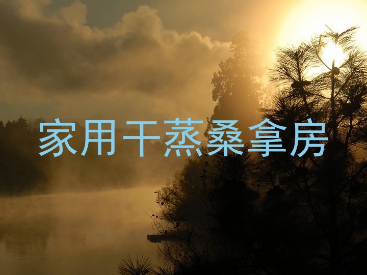 家用干蒸桑拿房