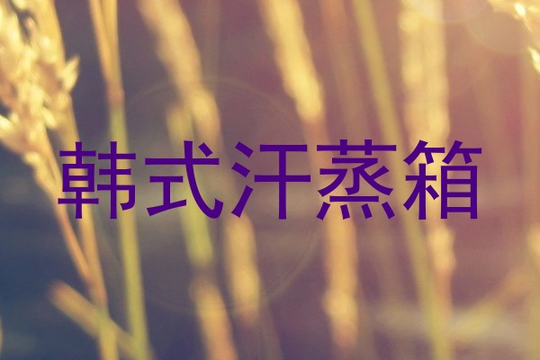 韩式汗蒸箱