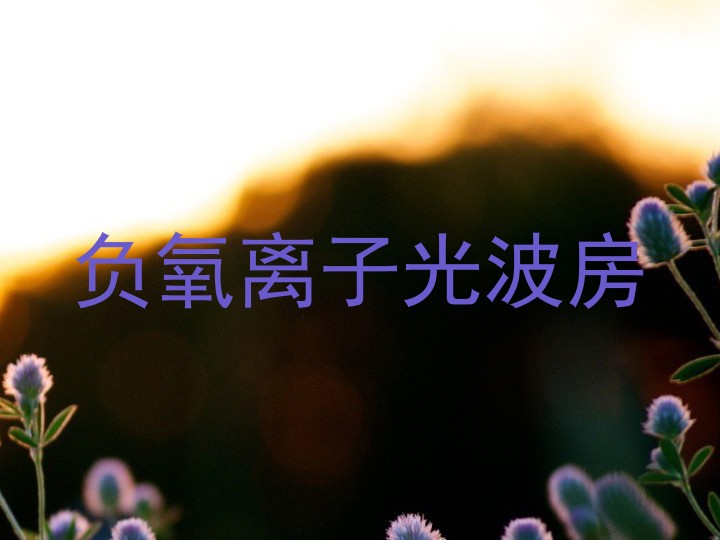 负氧离子光波房