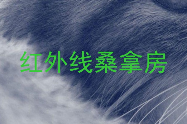 红外线桑拿房