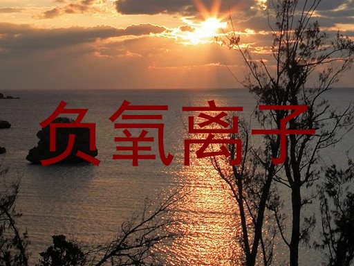 负氧离子