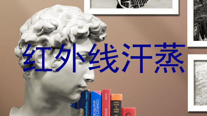 红外线汗蒸