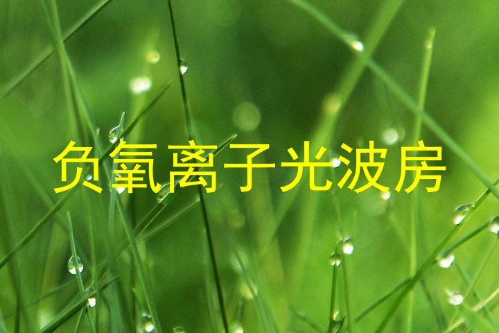 负氧离子光波房