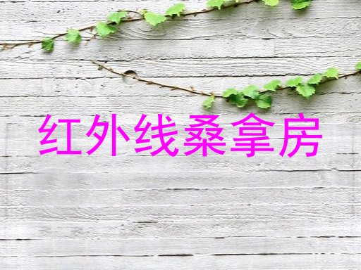 红外线桑拿房
