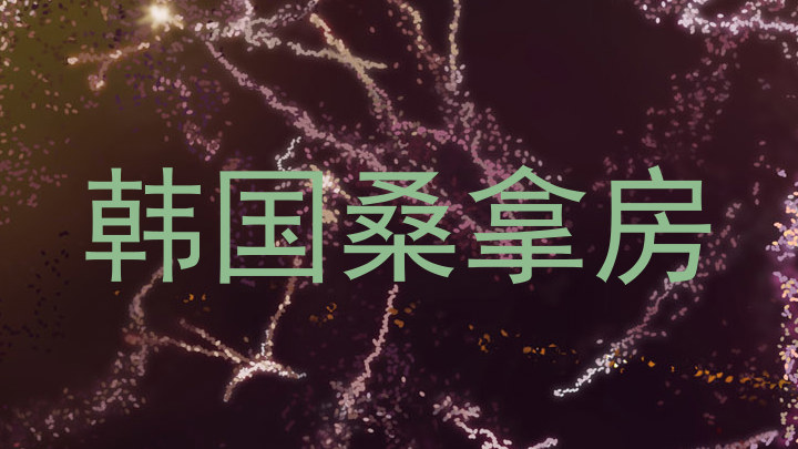 韩国桑拿房