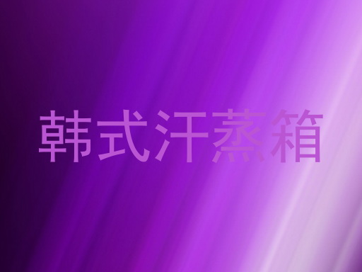 韩式汗蒸箱