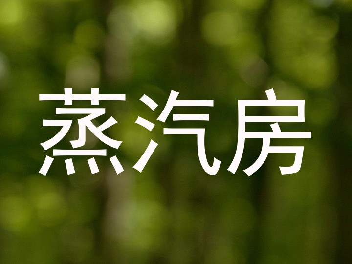 蒸汽房