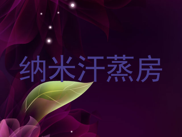 纳米汗蒸房