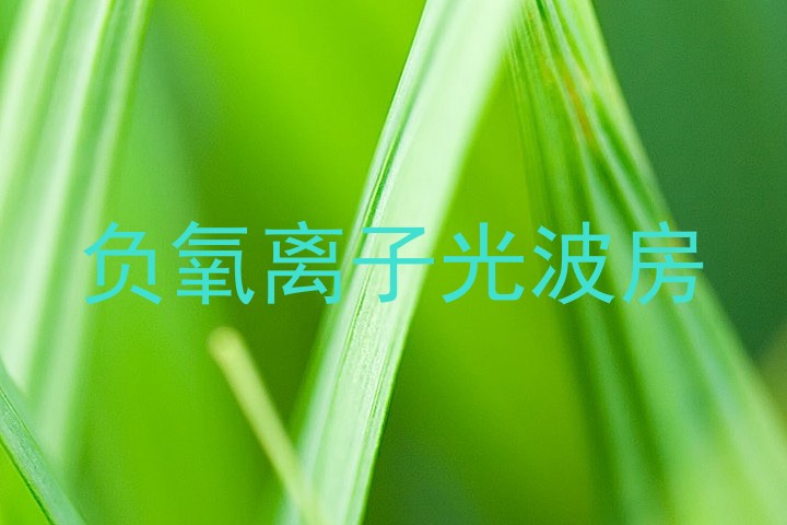 负氧离子光波房