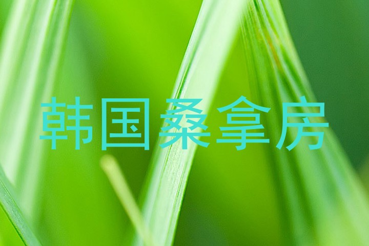 韩国桑拿房