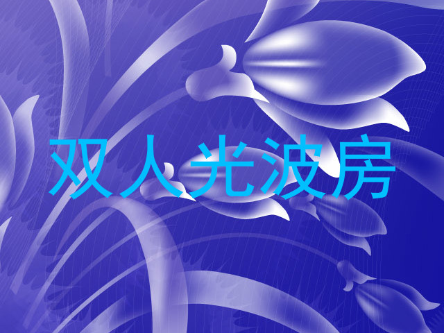 双人光波房