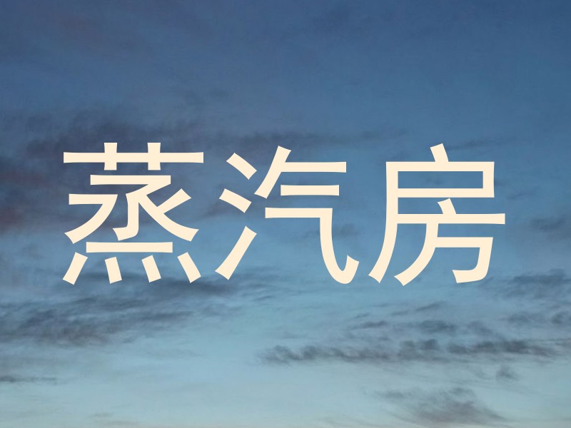 蒸汽房