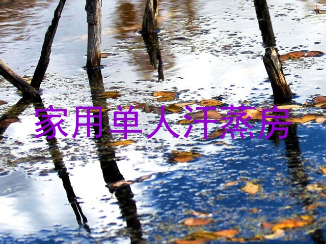 家用单人汗蒸房