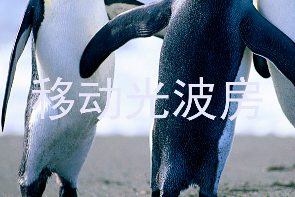 移动光波房