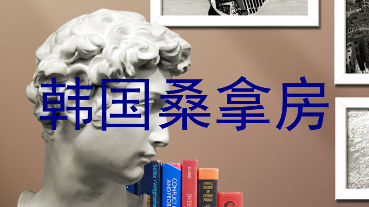 韩国桑拿房
