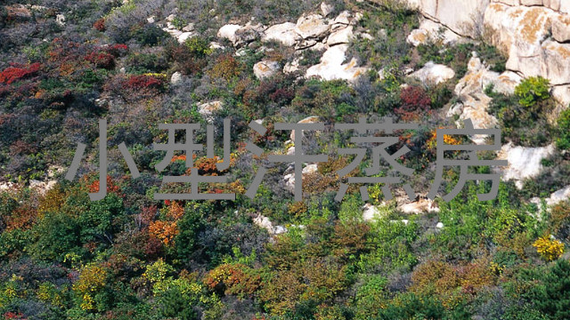 小型汗蒸房