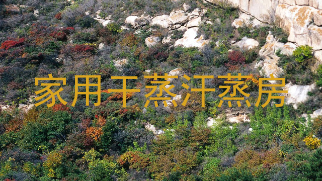 家用干蒸汗蒸房