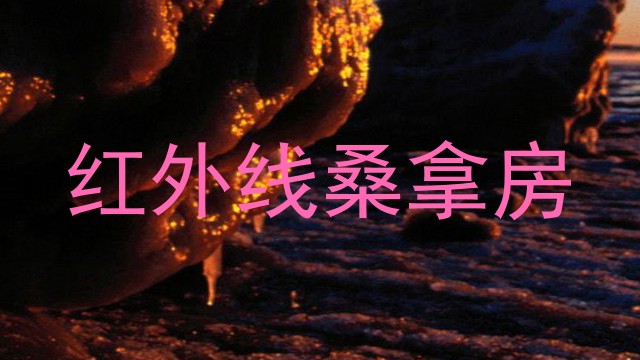 红外线桑拿房