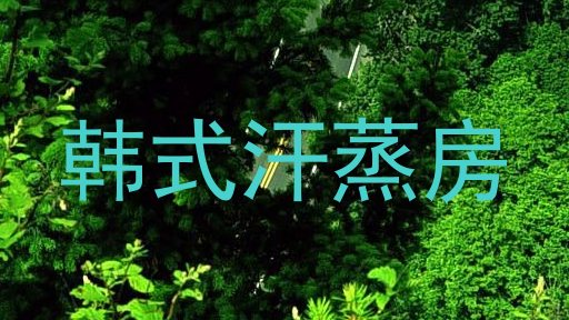 韩式汗蒸房