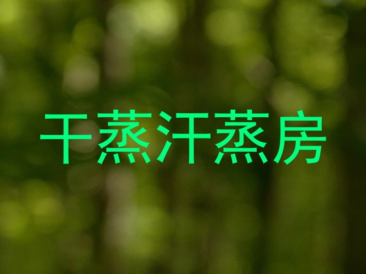 干蒸汗蒸房