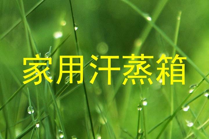 家用汗蒸箱