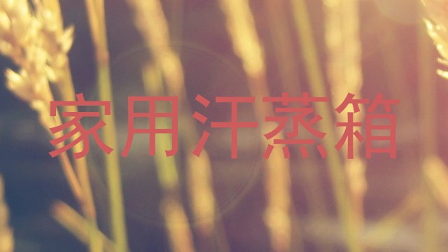 家用汗蒸箱