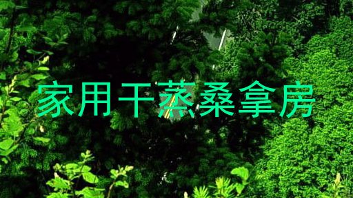 家用干蒸桑拿房