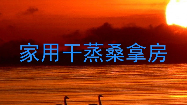 家用干蒸桑拿房